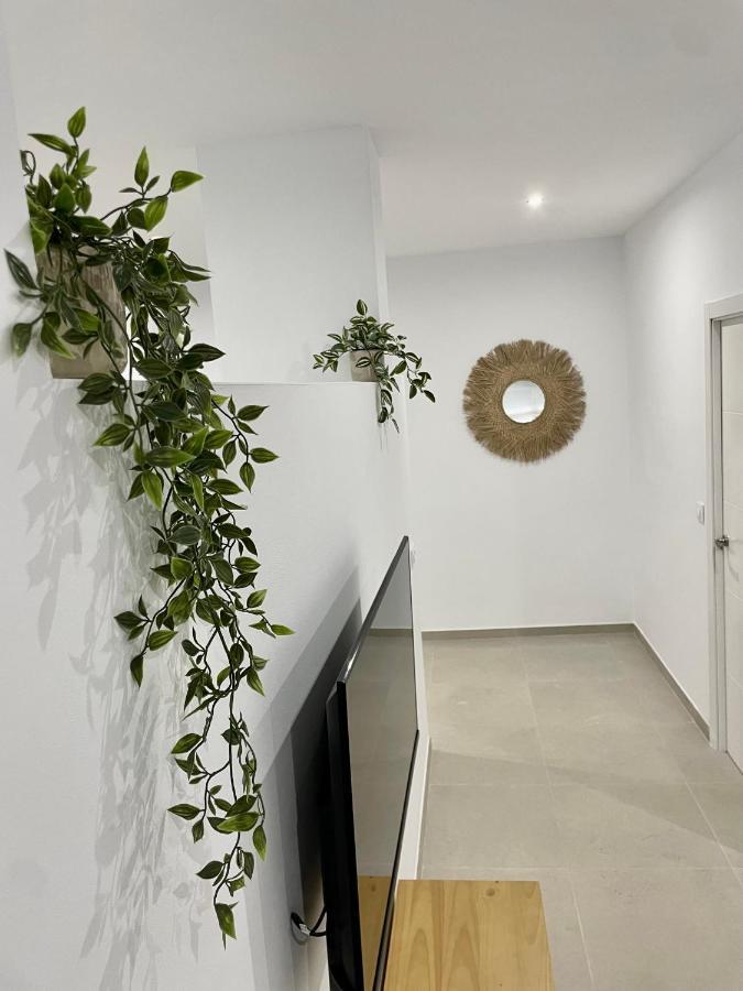 Apartamento Antonio Conil De La Frontera Zewnętrze zdjęcie